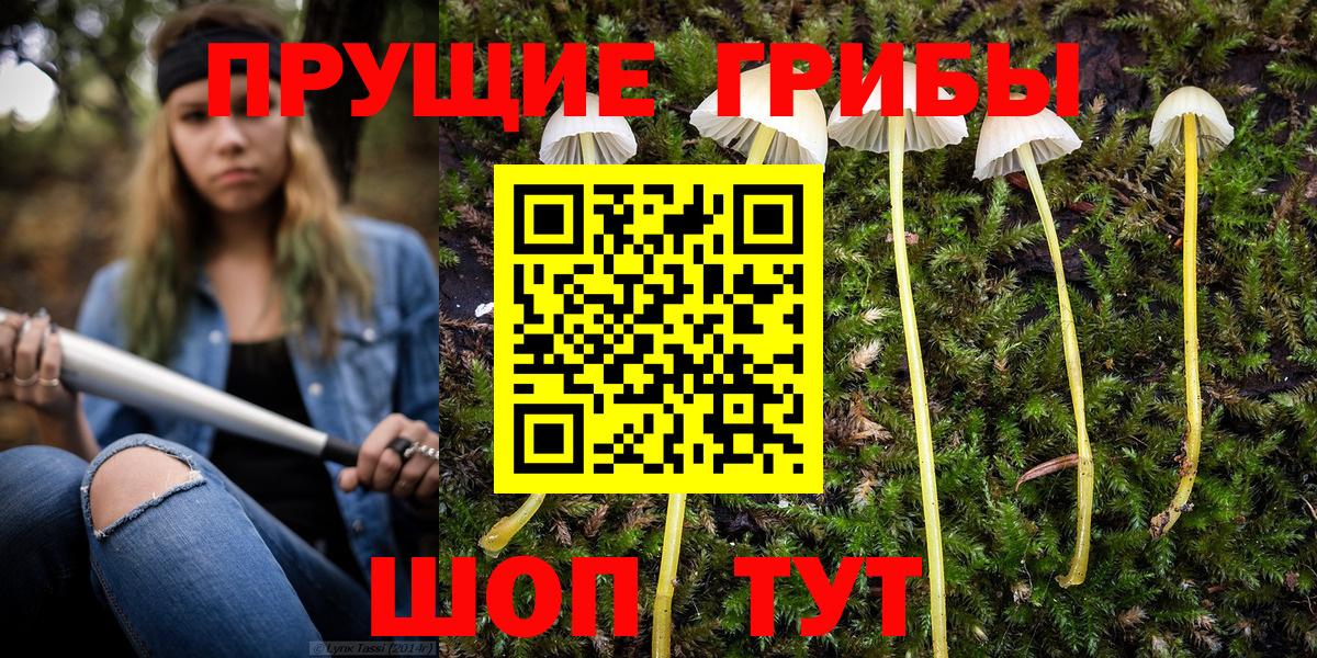 Псилоцибиновые грибы Magic Shrooms  Нарткала 